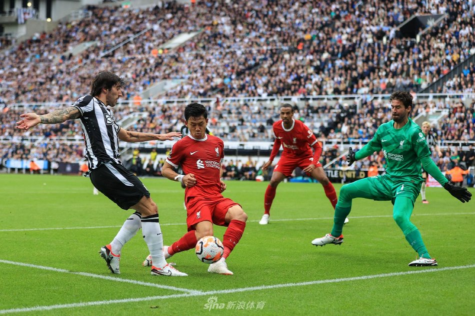 球员们沉着 球员们沉着