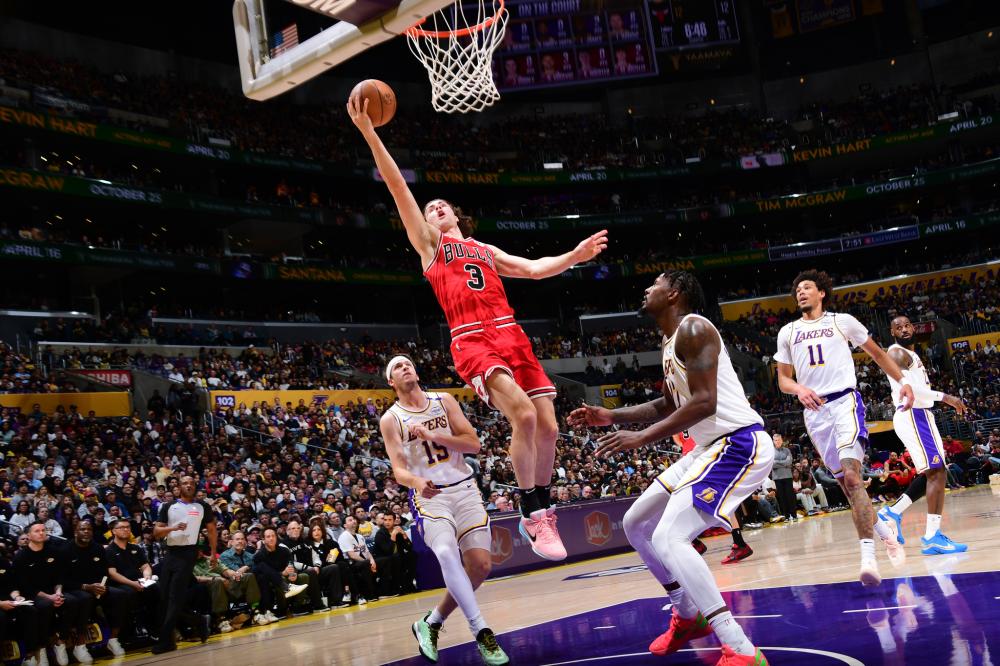 动的魅力 动的魅力